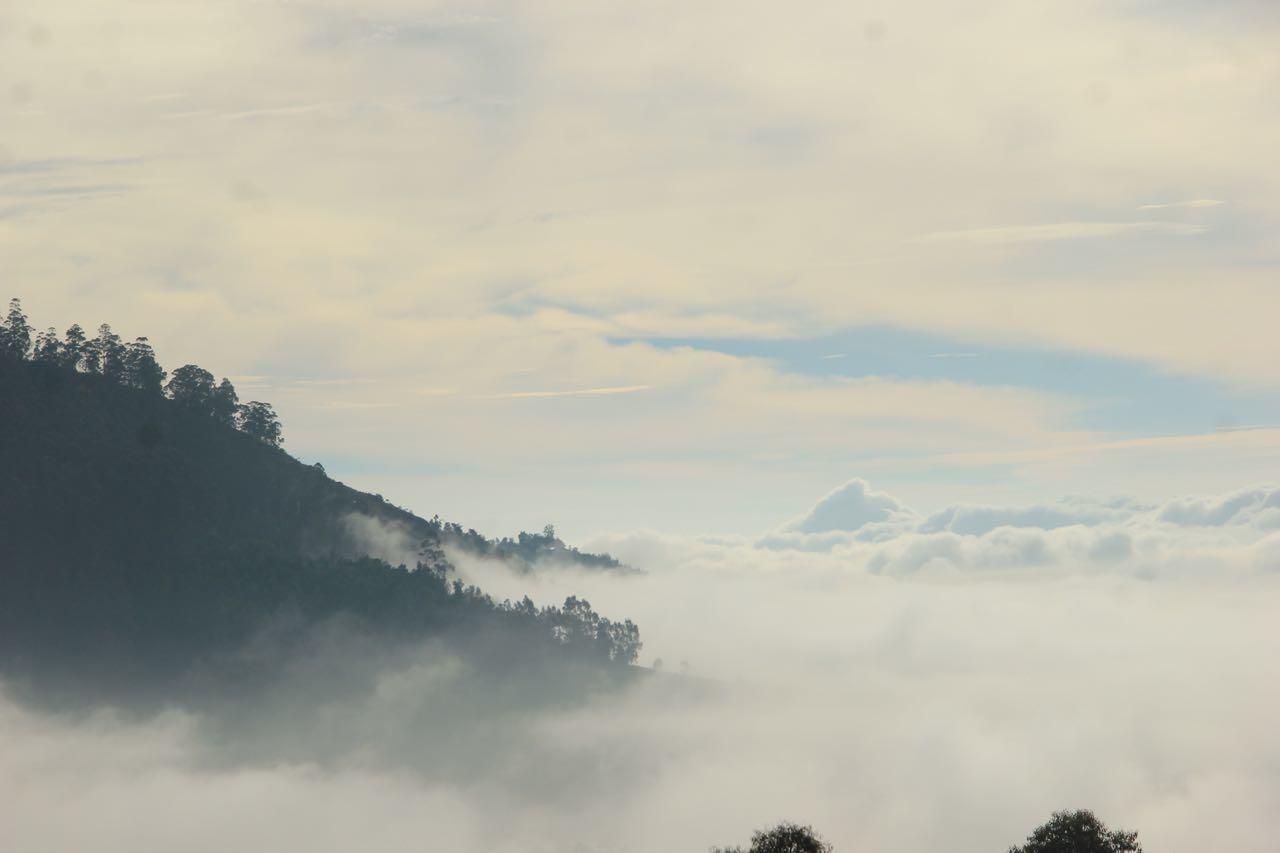 Hide Away Cottages Ooty Eksteriør billede